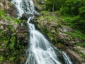 20160716_KHD_012